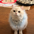 Pet Fur Diamond Bib
